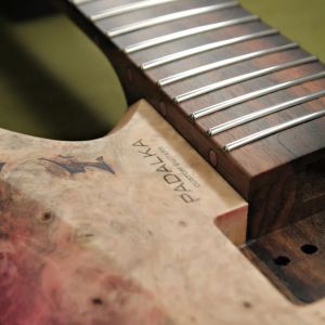 Parallax SN231 photo 21