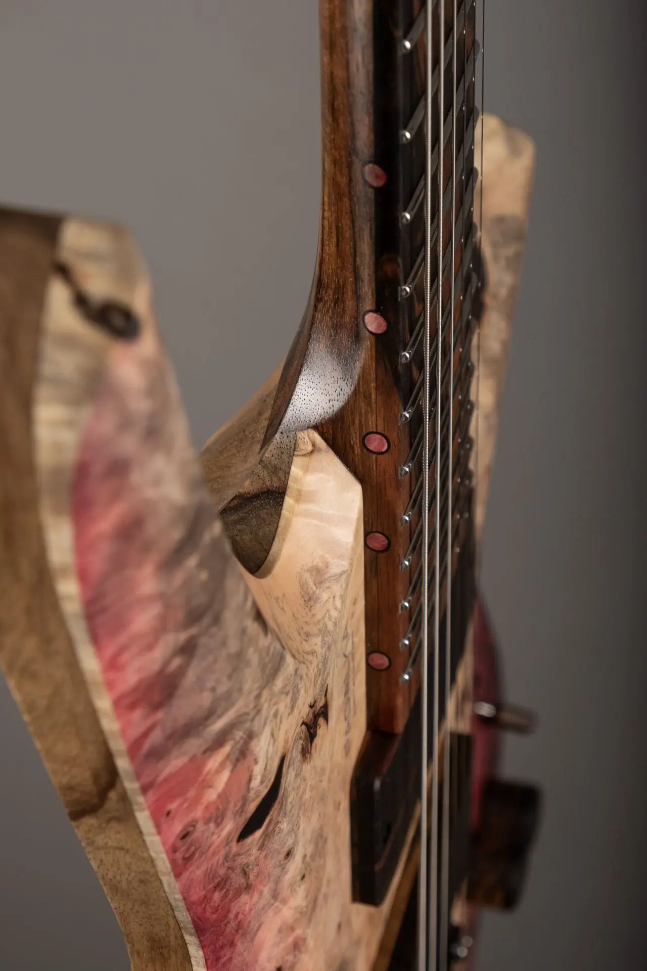 Parallax SN231 photo 11