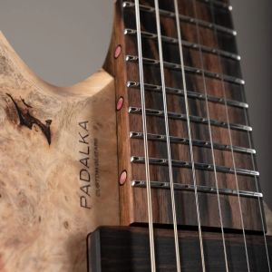 Parallax SN231 photo 14