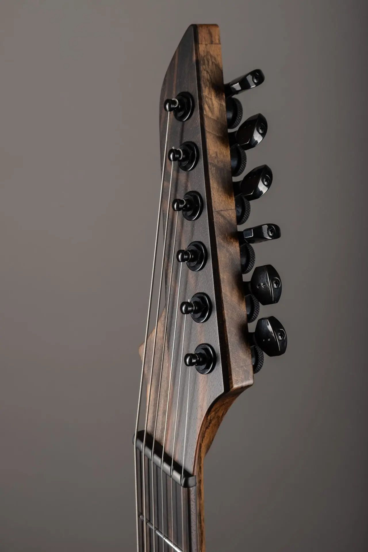 Parallax SN231 photo 6