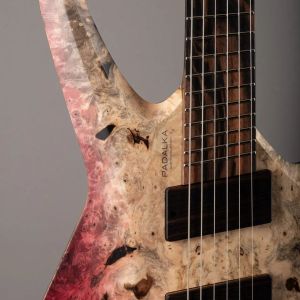 Parallax SN231 photo 12